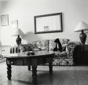 108256 Interieur van een huis aan de Abstederdijk te Utrecht: woonkamer, met een hond op de bank.